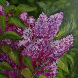 " Цветет сирень"