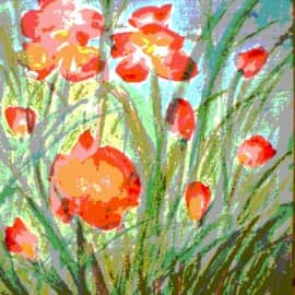 Луговые цветы