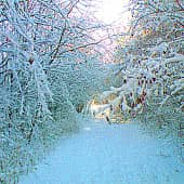 Утро настало.