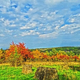 Солнечный день