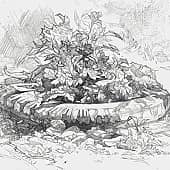 Летнее утро