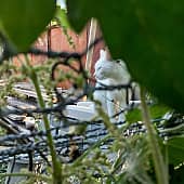 Я пошла - Исса (односеансный этюд) (1), художник Татьяна Паола