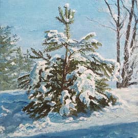 В снежном наряде