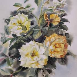 Розы в цвету