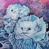 Две полярные совы