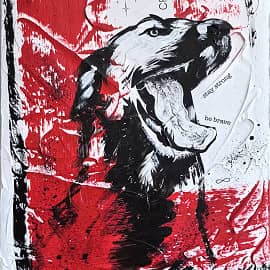 Красное и белое. Собака.