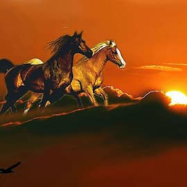 Кони в облаках