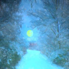 В ночном лесу.