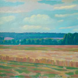 "Пейзаж с полем"