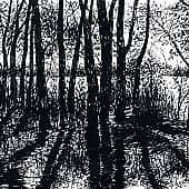 Тенистая прохлада  The Shady Coolness