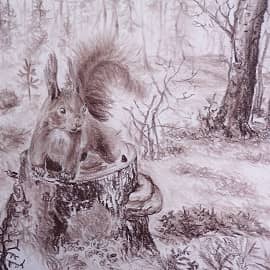 В Усинском лесу