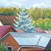 Соседские крыши