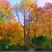 Осенний наряд.