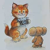 Открытка - 22