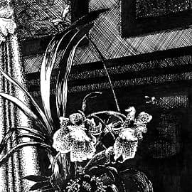 Графика и рисунок