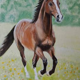 Лошадь на поляне