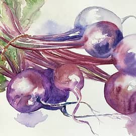 Акварель Свекла