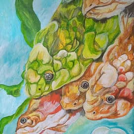 Аквариум. Цветные рыбки.