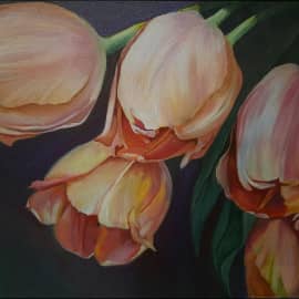 Тюльпаны