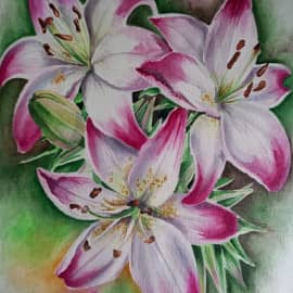 Лилии в саду