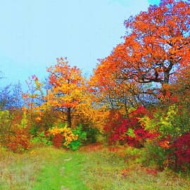 осенние краски,2