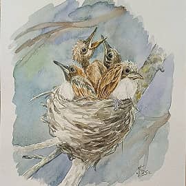 Птенцы в гнезде