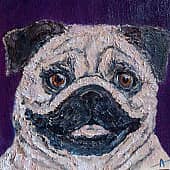 Мопс (продолжение))