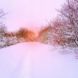 Тропинка в снегу