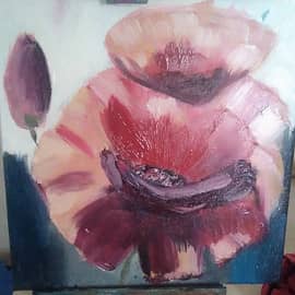 Красный мак