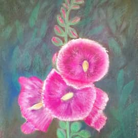 Вечерние мальвы