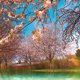 Весенние картины.