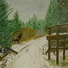 У охотников выходной, можно спокойно погулять по лесу.