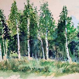 Березовая роща. Хабаровск Казакевичево