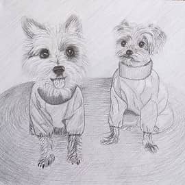 На прогулку готовы