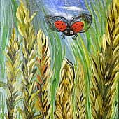 Колос. #Marskolla