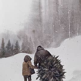 Предновогодняя