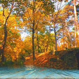 Осенний берег.