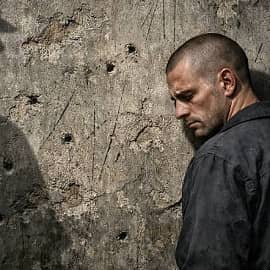 Алели снегири