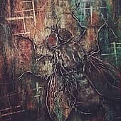 "Сожительница" - 2 ("Аделаида")