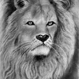 ЦАРЬ ЗВЕРЕЙ