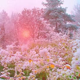 Морозное утро-2