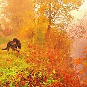 Портрет в профиль.