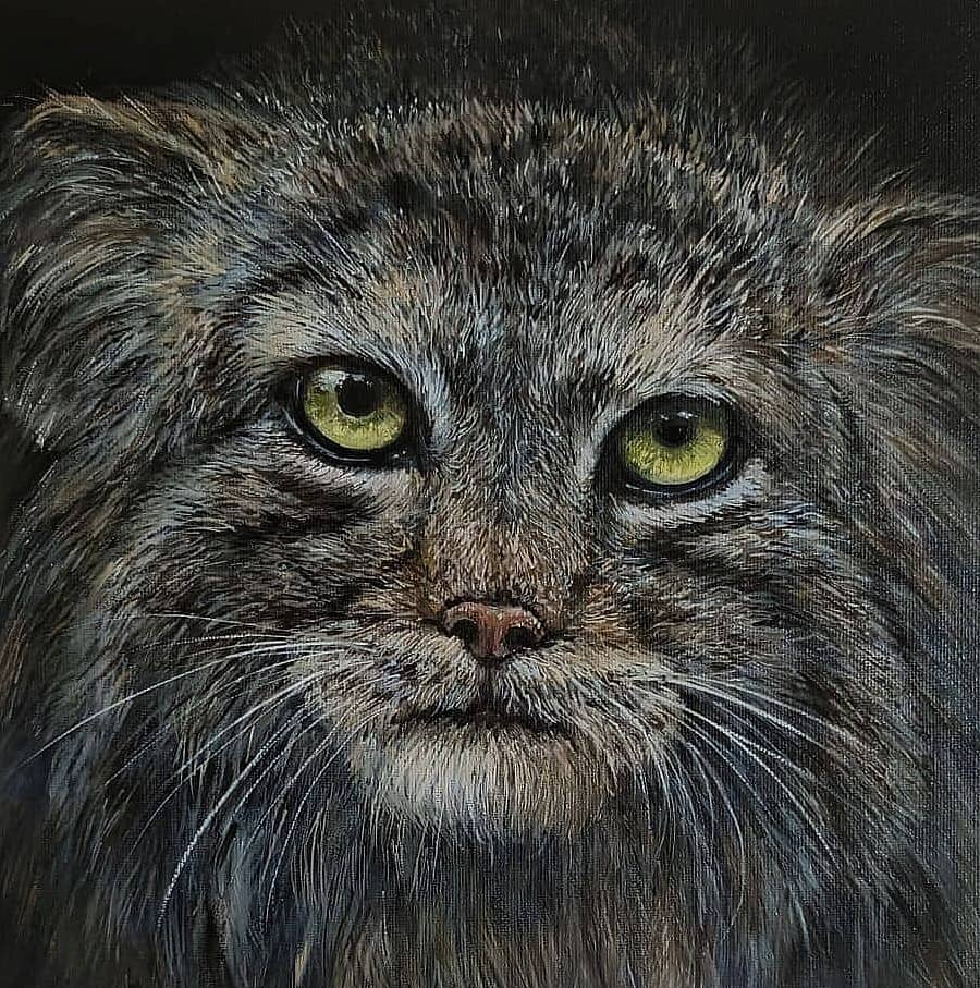 Гроза мышей.