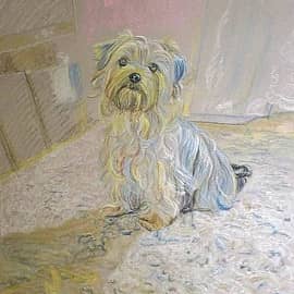 Терьер в интерьере