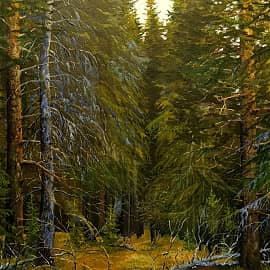 В лесах дремучих...