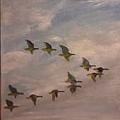 Стая в небе