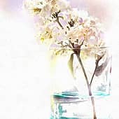 -сиренька- redraw 2015.gemini. (1), художник Сергей Куценко