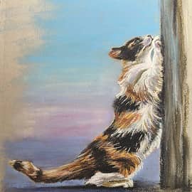 Когтеточка