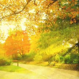 В осеннем парке