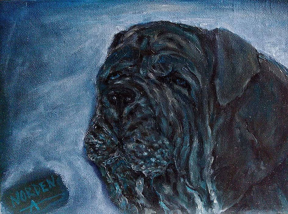 Мастино (этюд)